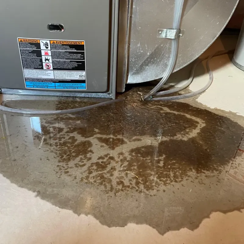 Appliance Leak Cleanup in Paoli, PA